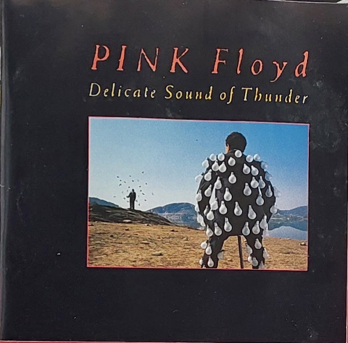 Pink Floyd Delicate Sound of Thunder Live 2CD