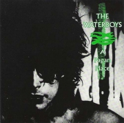 The Waterboys A Pagan Place CD
